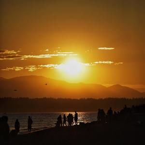 Meet your Posher, Stella